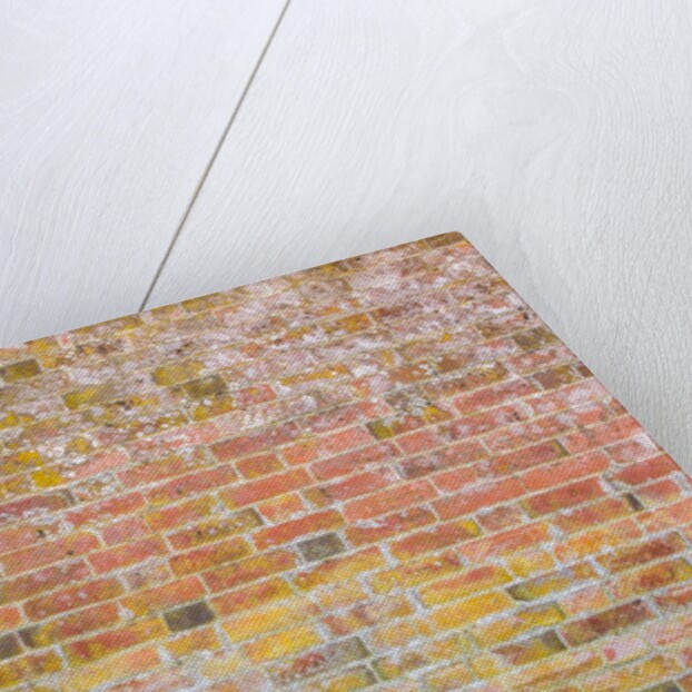 Brickwall by Assaf Frank